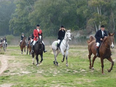 cacerÃ­a del zorro