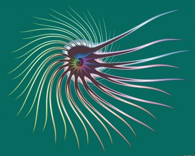 flagellum