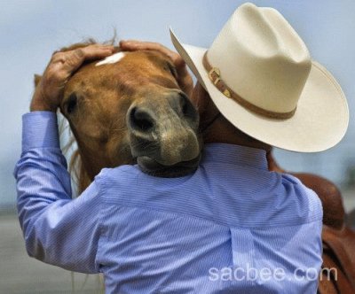 פאזל של caballo