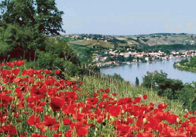 Rio Saone-FranÃ§a jigsaw puzzle