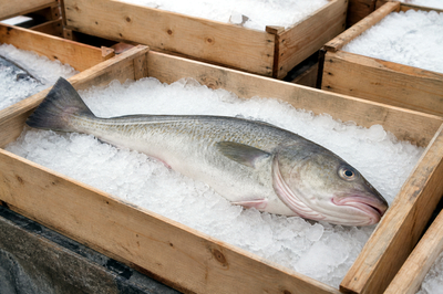 Overcast Ice Crate Cod