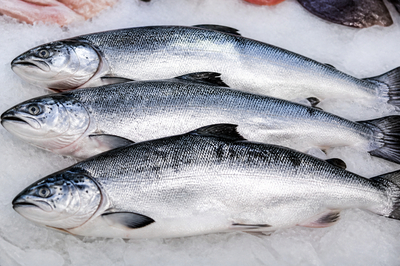 Market Silver Coho(grok)