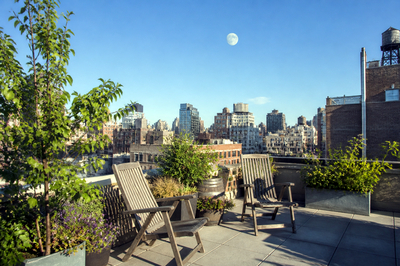 Afternoon Rooftop Daymoon