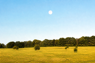 Moon Over Field(grok)