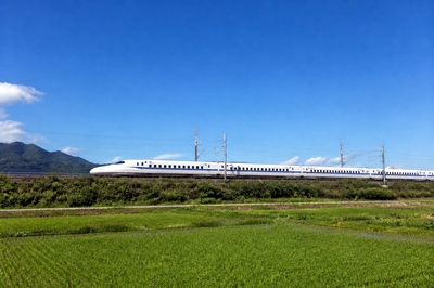Bullet Train Fields(grok)