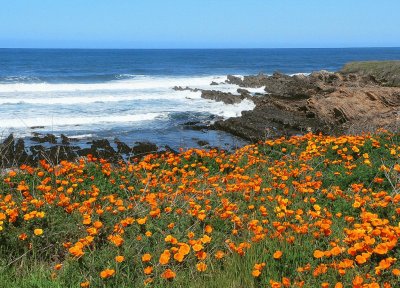 Montana de Oro State Park