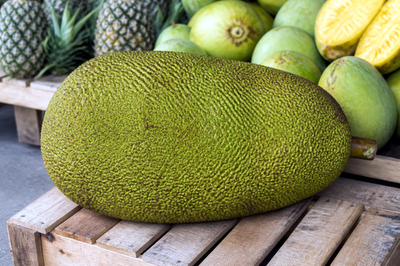 Jackfruit Whole(grok)