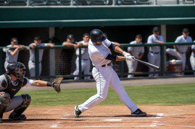 Baseball Batter(grok)