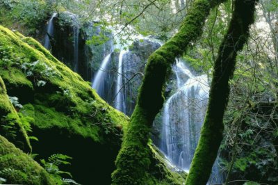 Mt Tamalpais Water Fall-Marin County jigsaw puzzle