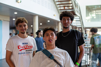 les fous