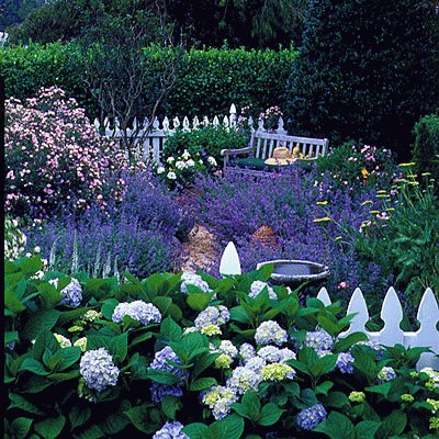 Beautiful Garden
