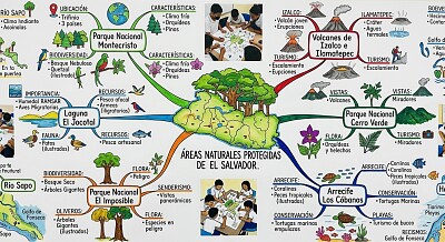 AREAS NATURALES PROTEGIDAS