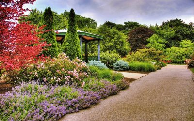 Jardin de colores