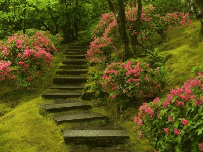 Jardin japones jigsaw puzzle