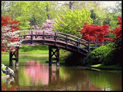 Jardin en japon