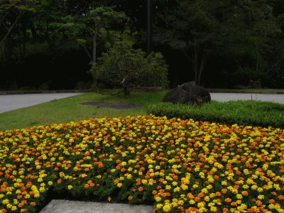 פאזל של Jardim do Solo Sagrado, SP