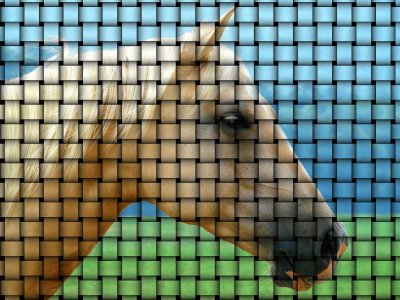 Distorted Horse jigsaw puzzle