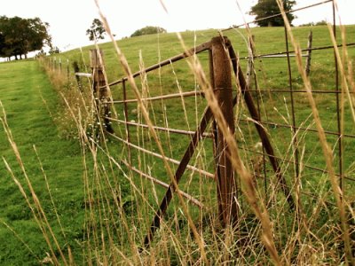 פאזל של fence