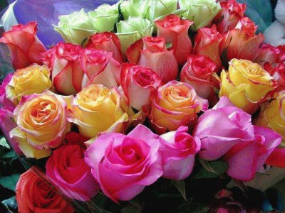 Rosas