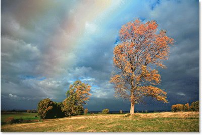 Arco Iris jigsaw puzzle