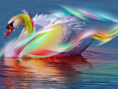 cisne de colores