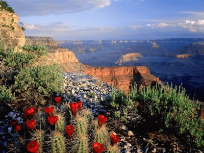 פאזל של Grand Canyon