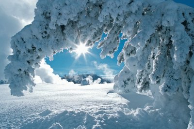 Winter in Wyoming jigsaw puzzle