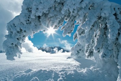 פאזל של Winter in Wyoming