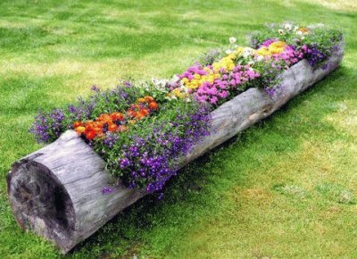 Jardinera
