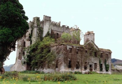 abandoned castle