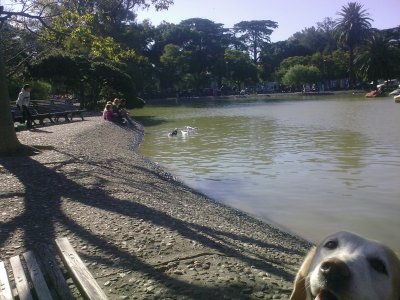 PARQUE1