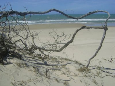Praia deserta do Batoque - Aquiraz-Ce