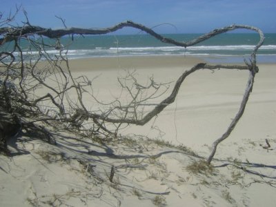 Praia deserta do Batoque - Aquiraz-Ce jigsaw puzzle