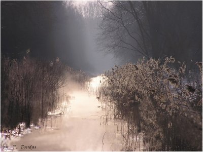 Natureza