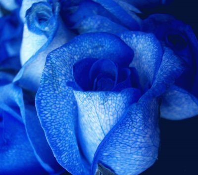 â™¥
