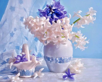 Purple and Pink Hyacinths