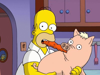 cerdo y homero comen zanahoria