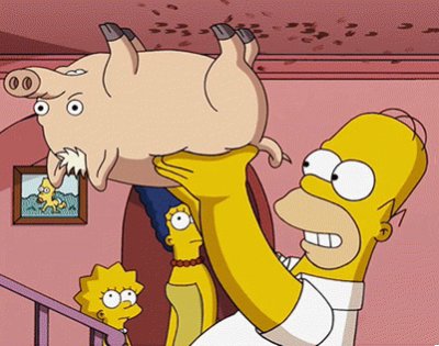 homero ayuda al puerco a escalar jigsaw puzzle