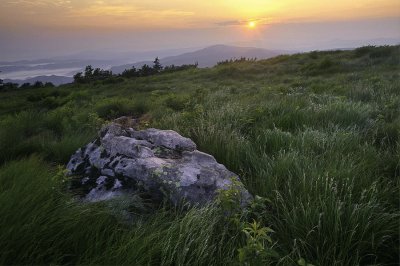 Roan mountain highlands jigsaw puzzle
