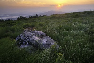 Roan mountain highlands