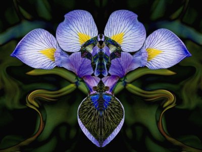 very  flower