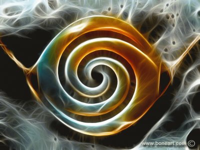 pearl koru