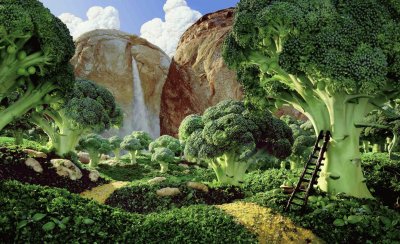 broccoli and bread forest