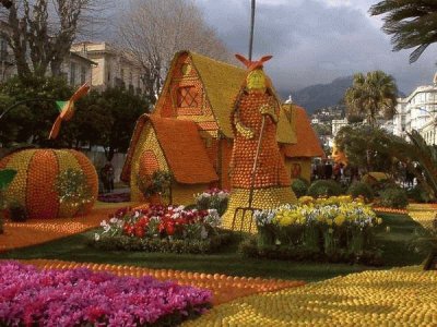 orange and lemons village jigsaw puzzle