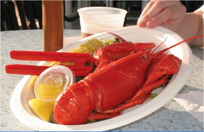 New England lobster jigsaw puzzle