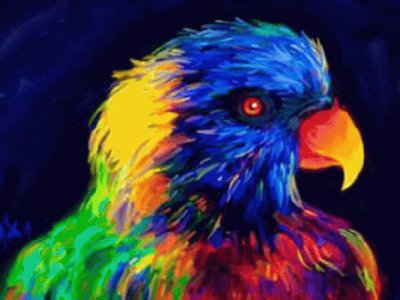 פאזל של colorful bird