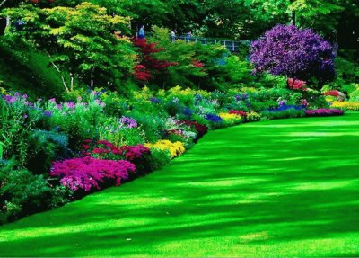 Imagenes
