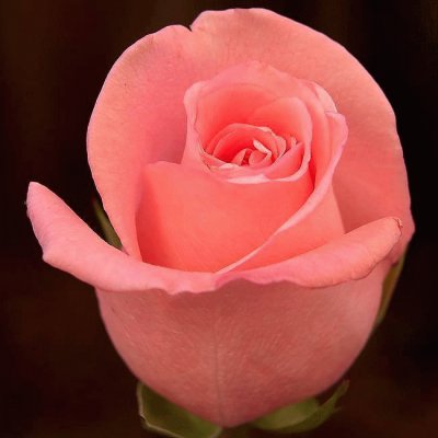 Imagenes
