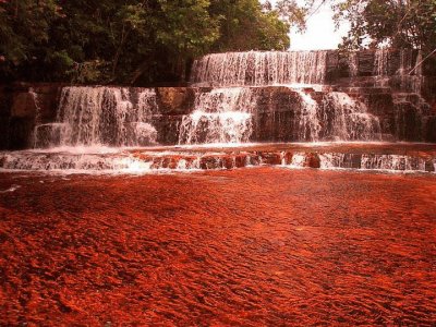 Imagenes