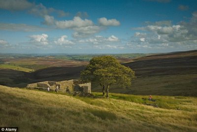 Wuthering heights jigsaw puzzle